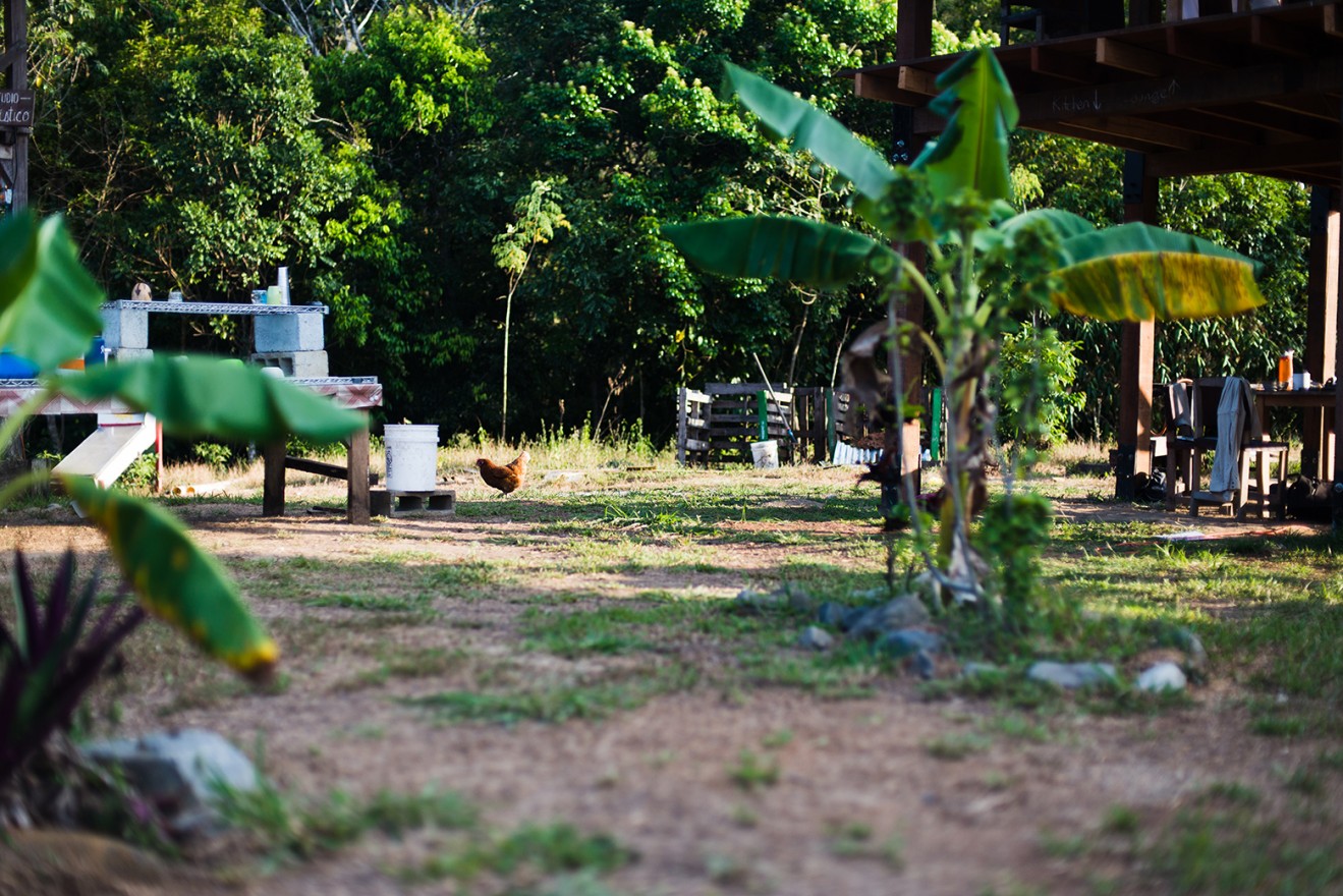 A stray chicken walks near the communal dishwashing station. The chicken coop is one of the agricultural team’s projects and the chickens provide a protein source. (Emma Sarappo/Medill)